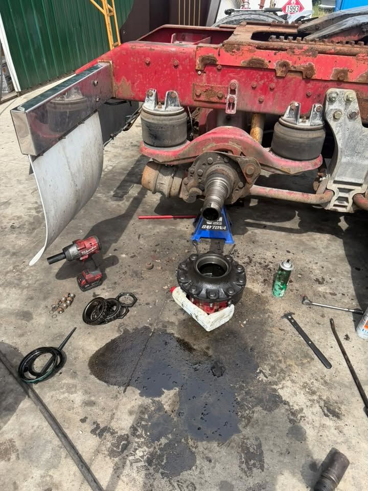 799202761 122107919337456141 2303178671661163943 n